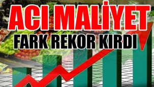 TÜİK'i yalanlayan enflasyon rakamları