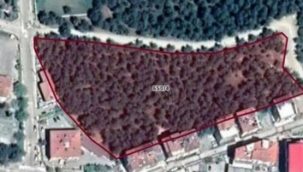 BELEDİYE ORMANLIK ALANI İMARA AÇTI!