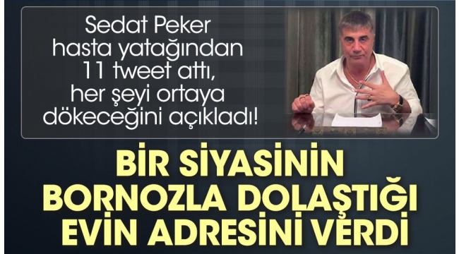 Sedat Peker hasta yatağından 11 tweet attı, her şeyi ortaya dökeceğini açıkladı.
