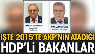 İşte 2015te AKPnin atadığı HDPli bakanlar