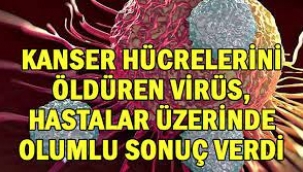 Kanser hücrelerini öldüren virüs hastalar üzerinde olumlu sonuç verdi