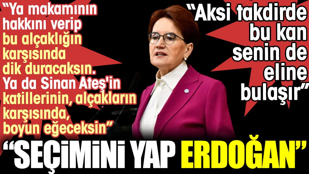 Meral Akşener'den Sinan Ateş çıkışı: Seçimini yap Erdoğan