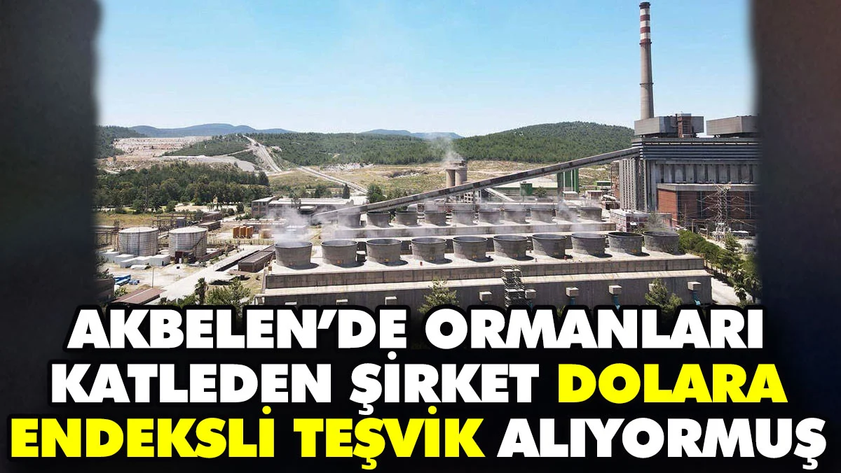 Akbelen'de ormanları katleden şirket dolara endeksli teşvik alıyormuş