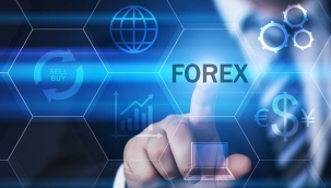 İstanbul'da Forex yatırım dolandırıcılarına operasyon: 73 gözaltı