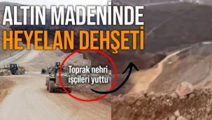 Anagold çevre katliamı değil, cinayet!
