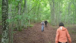 Koza Altın'ın projesi yargıya taşındı 