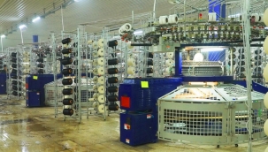 Olan yine küçük yatırımcıya oldu! Hisse anında taban oldu! 1ayda yüzde 40 kayıp