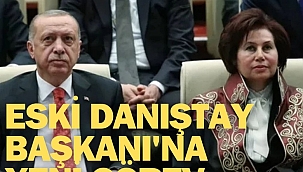 Başkan Erdoğan'dan ,Eski Danıştay Başkanı'na yeni görev